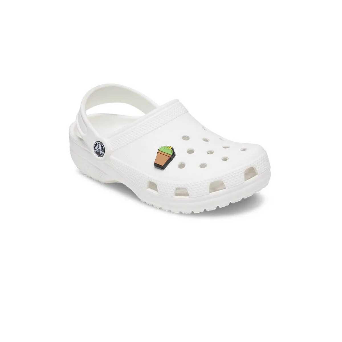 CROCS Jibbitz Shoes Charm Potted Cactus Multi Color - CR024AC813DMTH