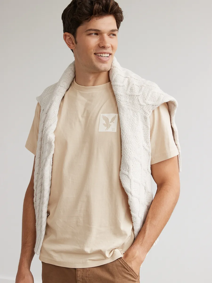 AMERICAN EAGLE MEN G SS CORE BRAND SET IN TEE- PC DYE + SERIOUSLY SOFT WASH 207 TAN