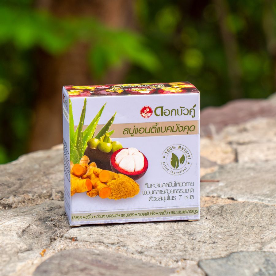 Заживляющее мыло с мангостином Twin Lotus 85 гр