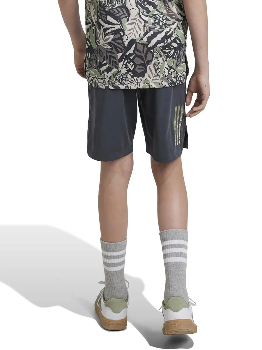 ADIDAS KIDS Boy Kids Shorts Disney Lion King Black Watch