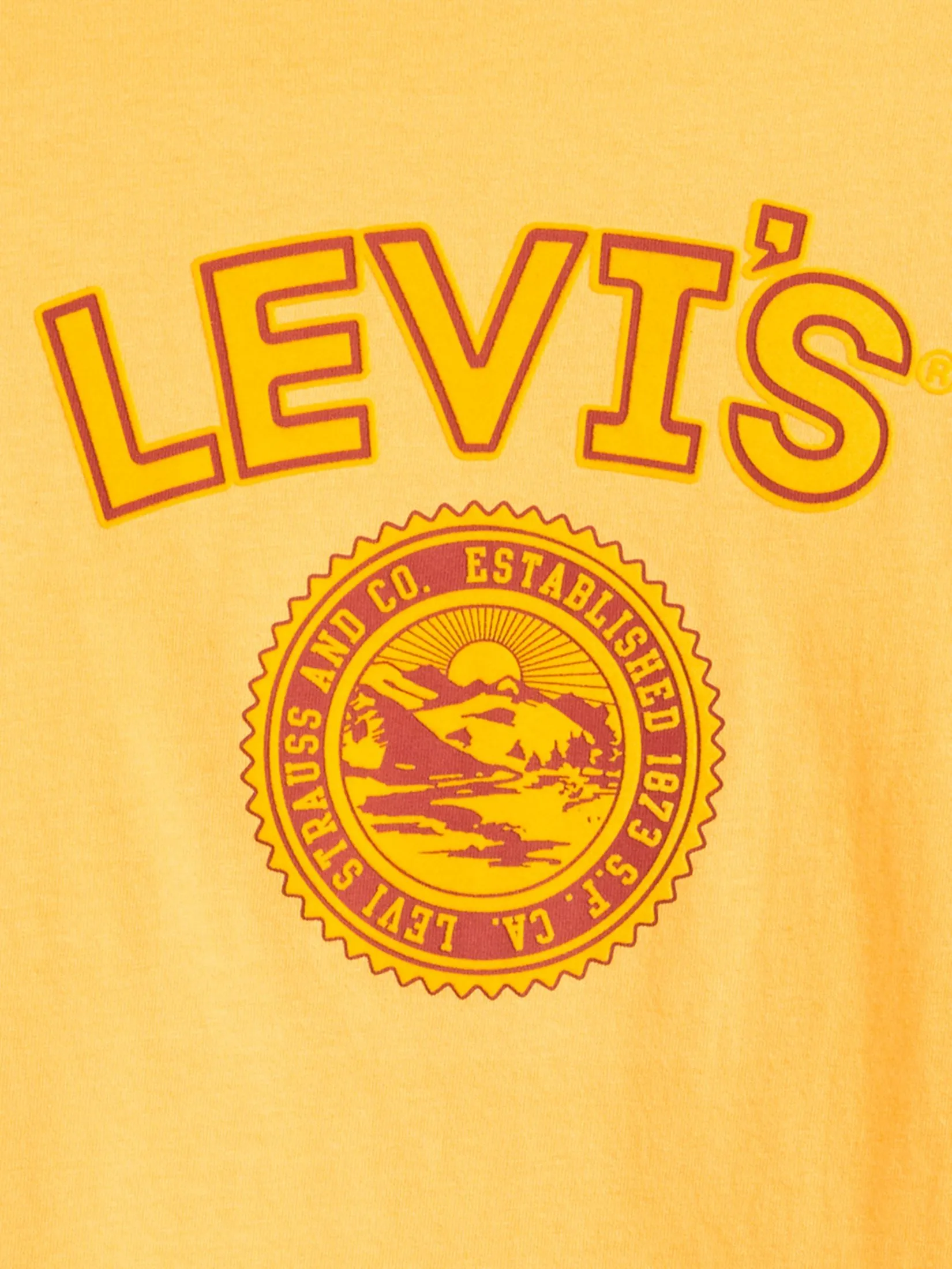 LEVI'S Men's Relaxed Fit Short-Sleeve Graphic T-Shirt Orange