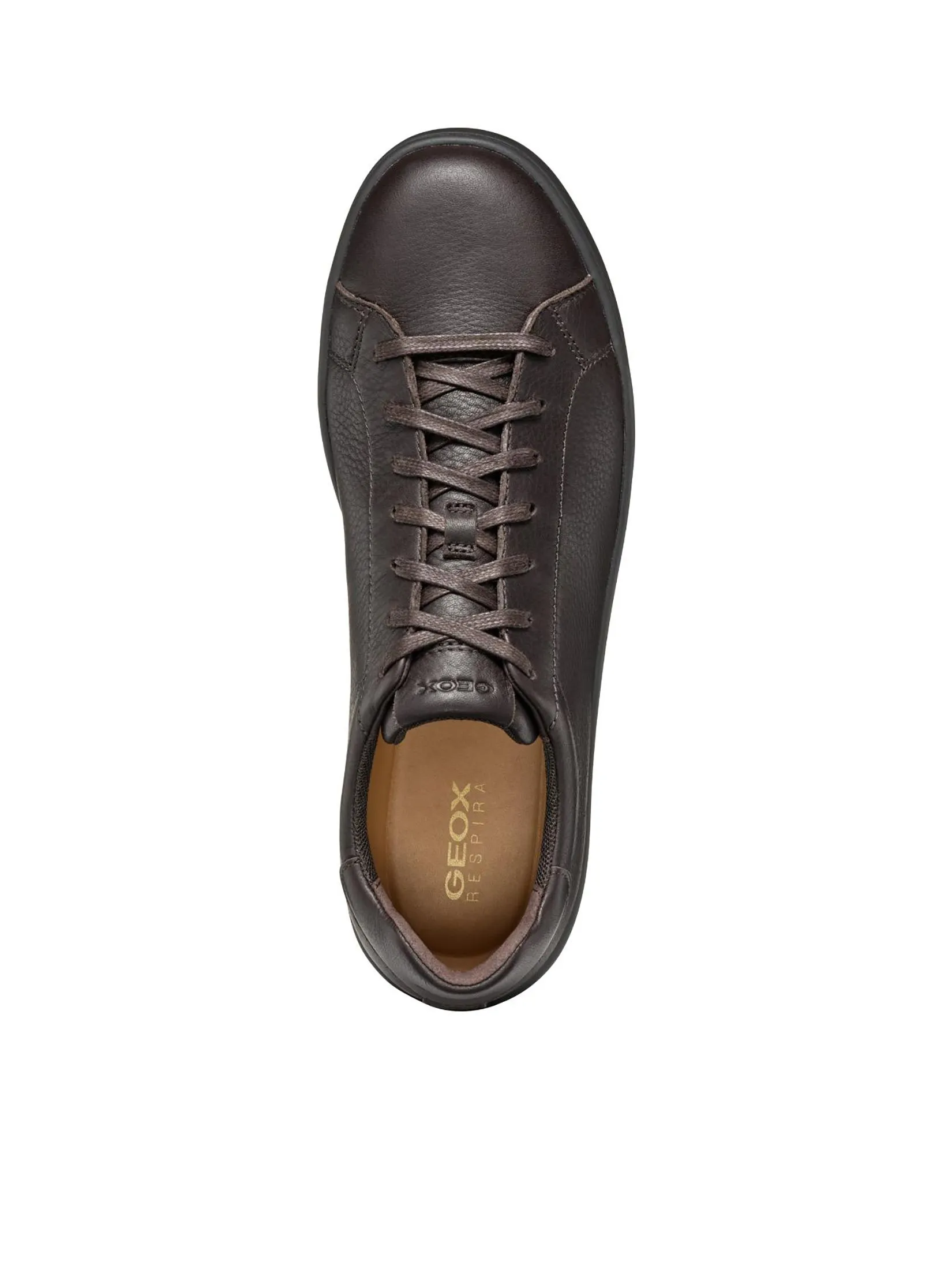 GEOX Men Sneakers U Spherica Ecub-1