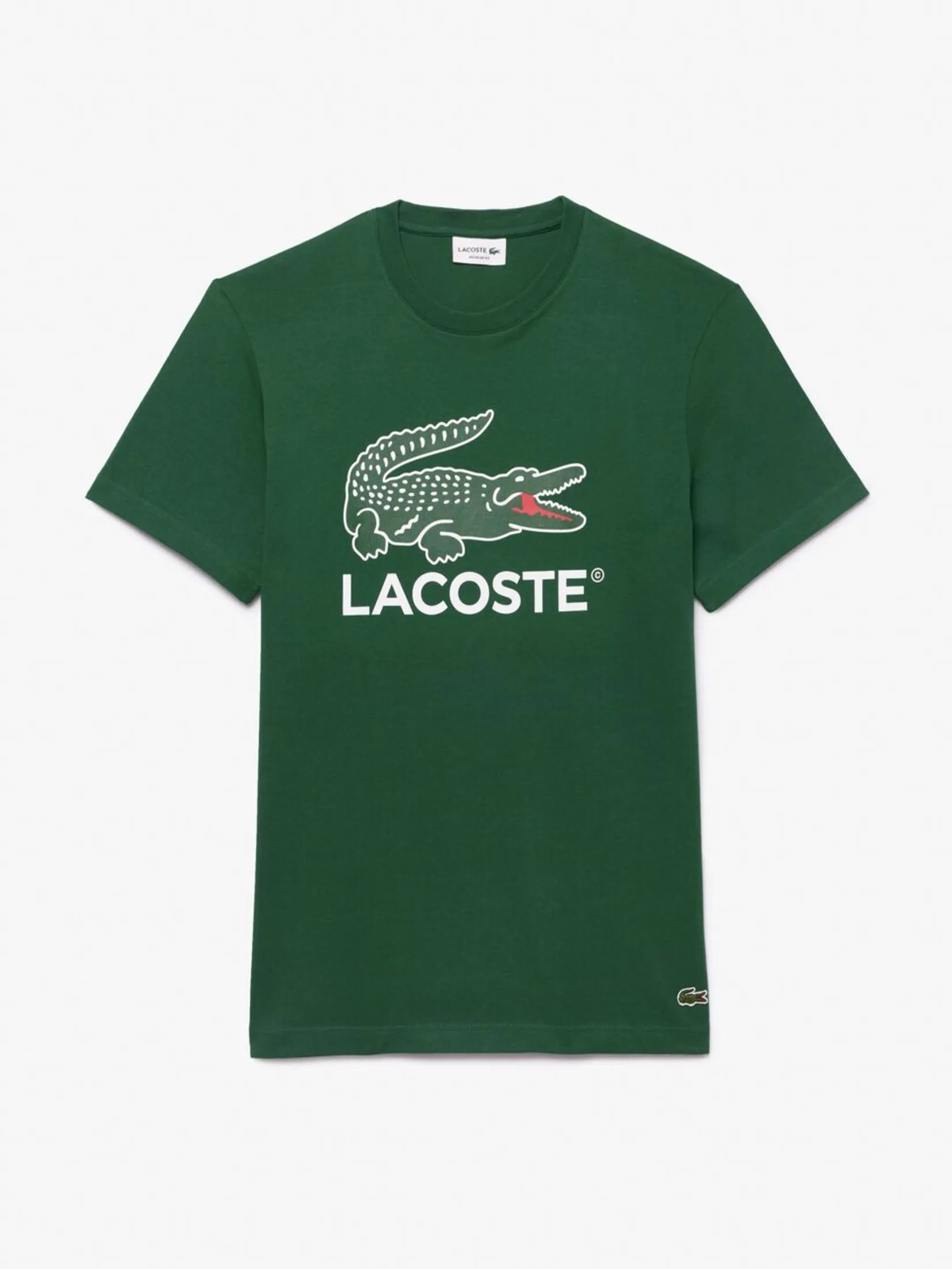 LACOSTE Signature Print Cotton T-shirt Green