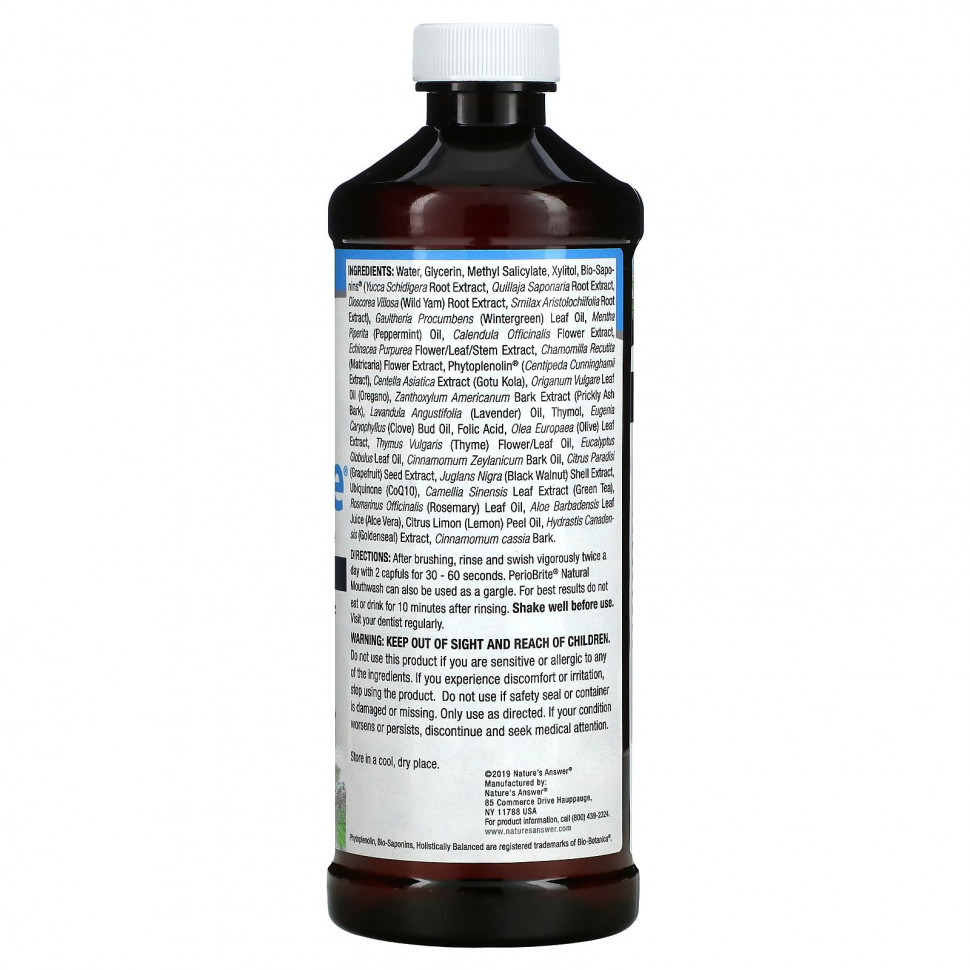 Nature's Answer, PerioBrite, натуральная жидкость для полоскания рта, зимняя мята, 480 мл (16 жидких унций)
