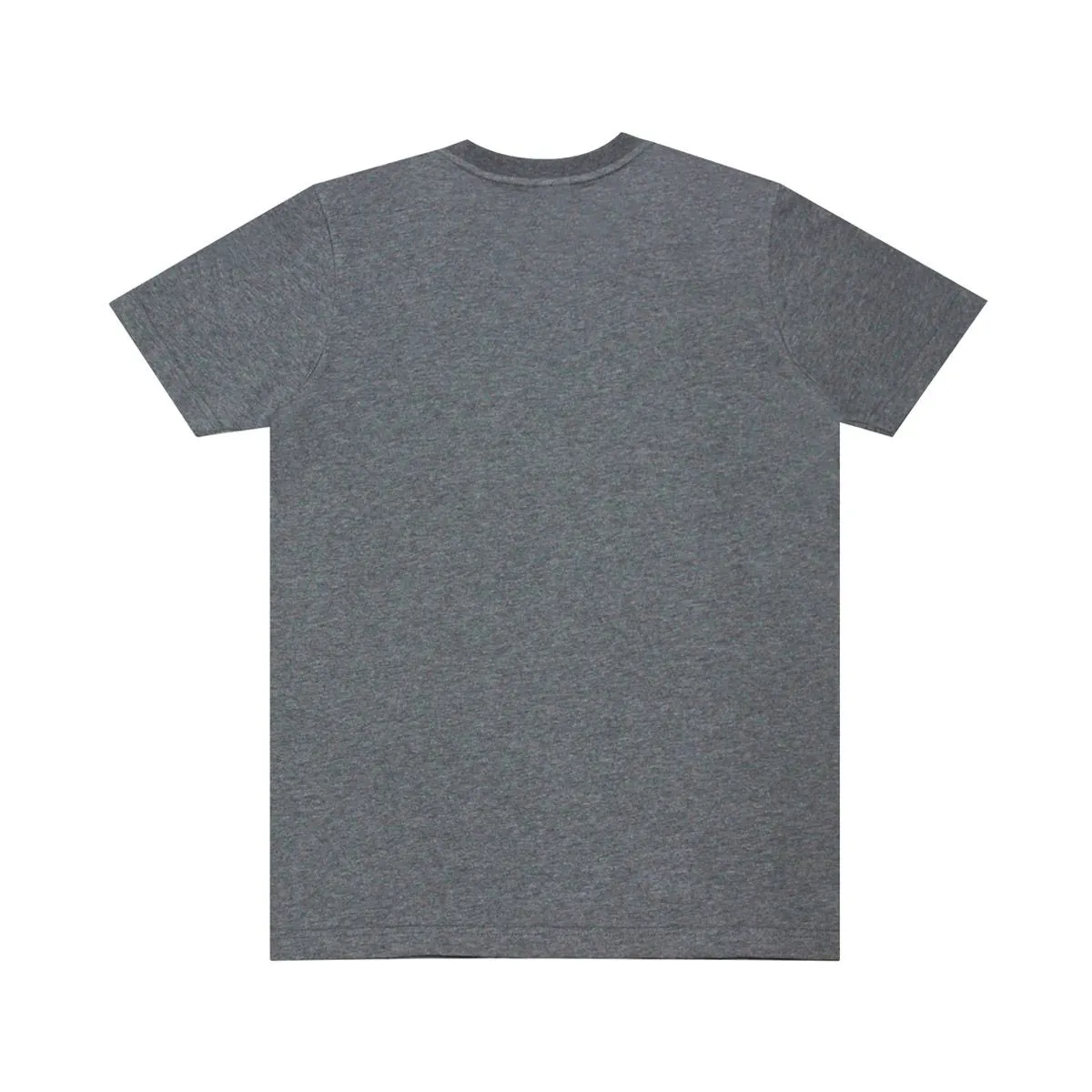 DUCATI Gray t-shirt for men DCT47 002