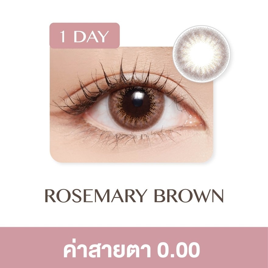 Pegavision Daily Kaori Rosemary Brown 0.00 (10 pcs)