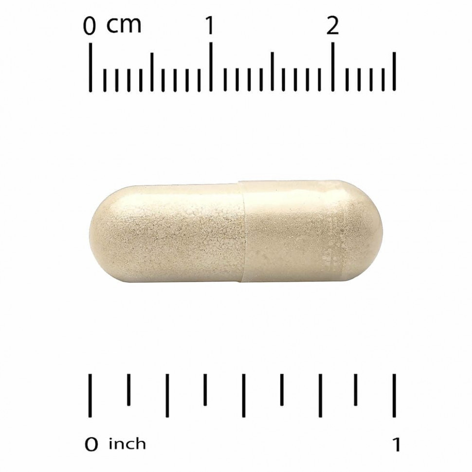 California Gold Nutrition, EuroHerbs, экстракт листьев оливкового дерева, европейское качество, 500 мг, 60 растительных капсул