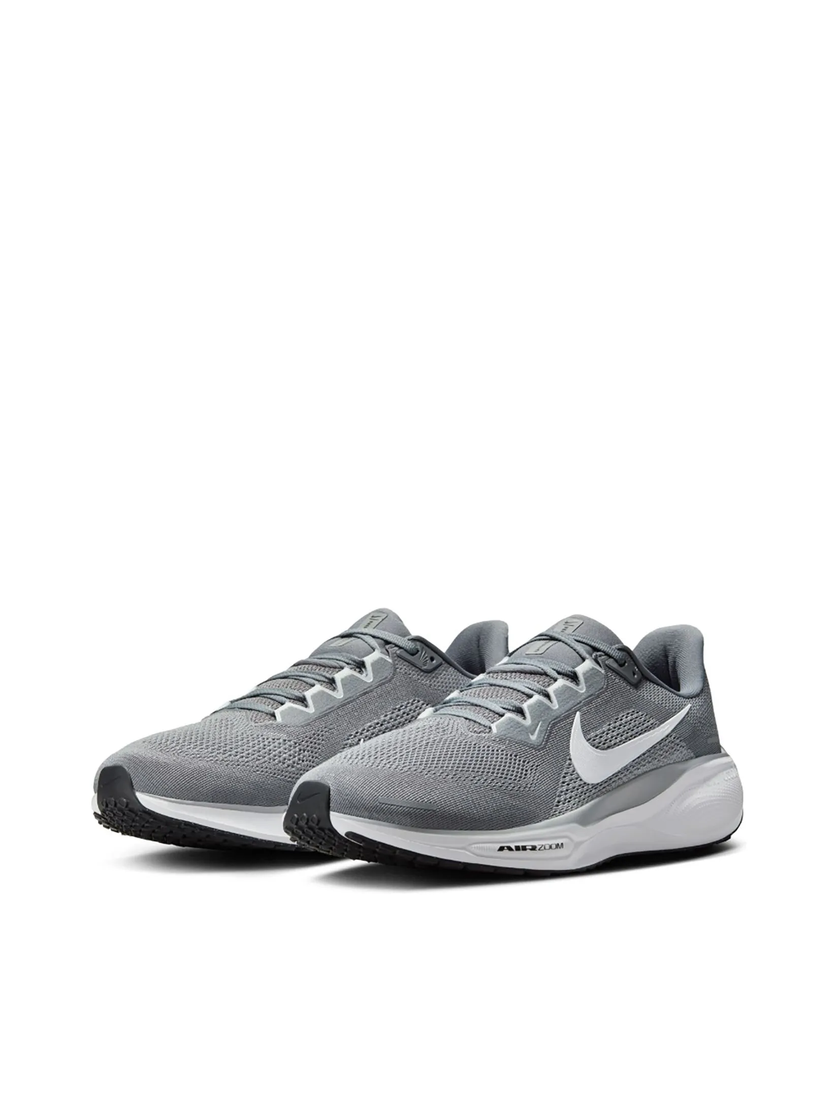 NIKE Men Running Shoes Pegasus 41
