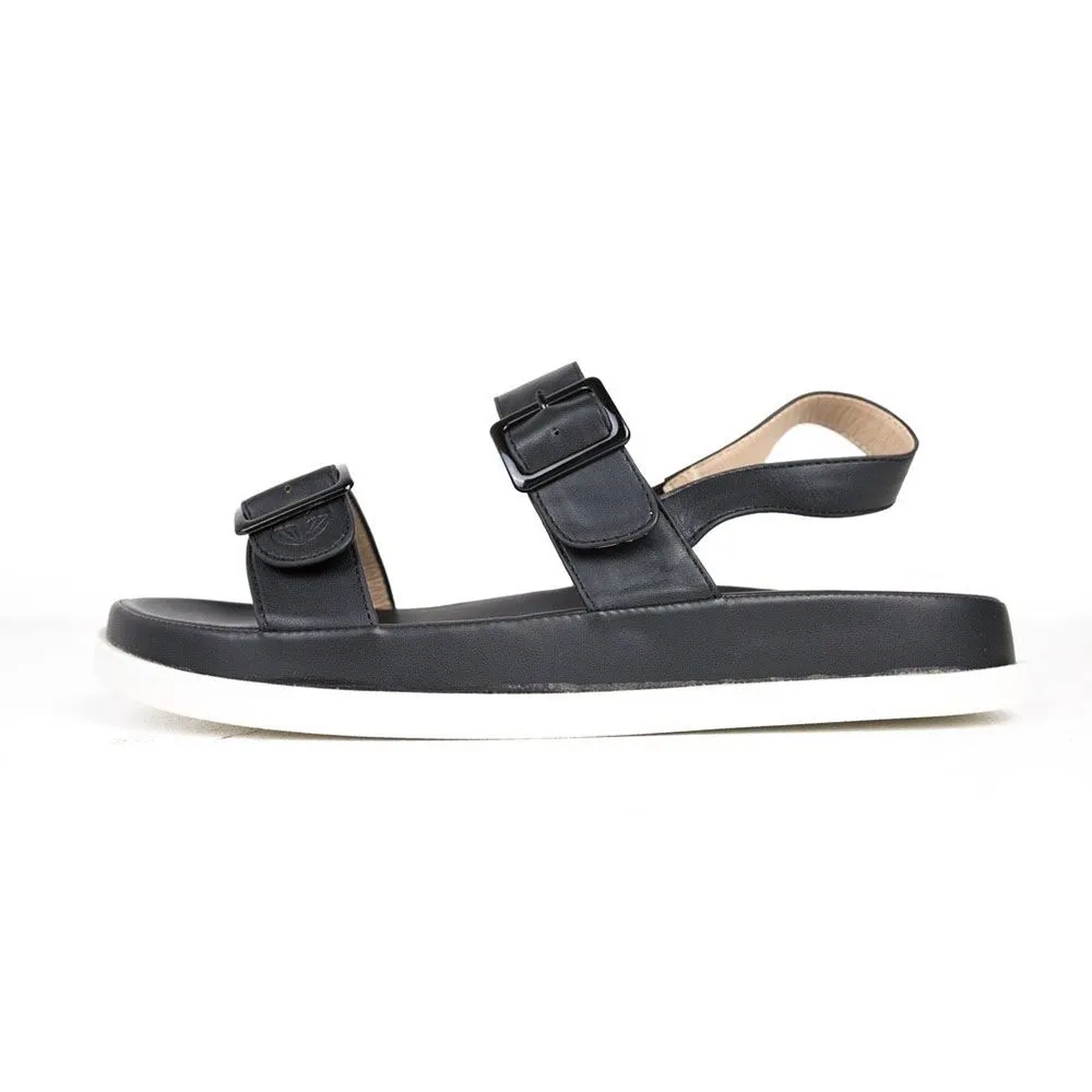 ROVING FOX Black FS1974 Sandal Shoes