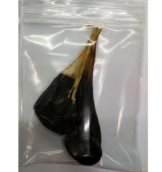 Желчный пузырь питона со змеиной фермы 2 шт