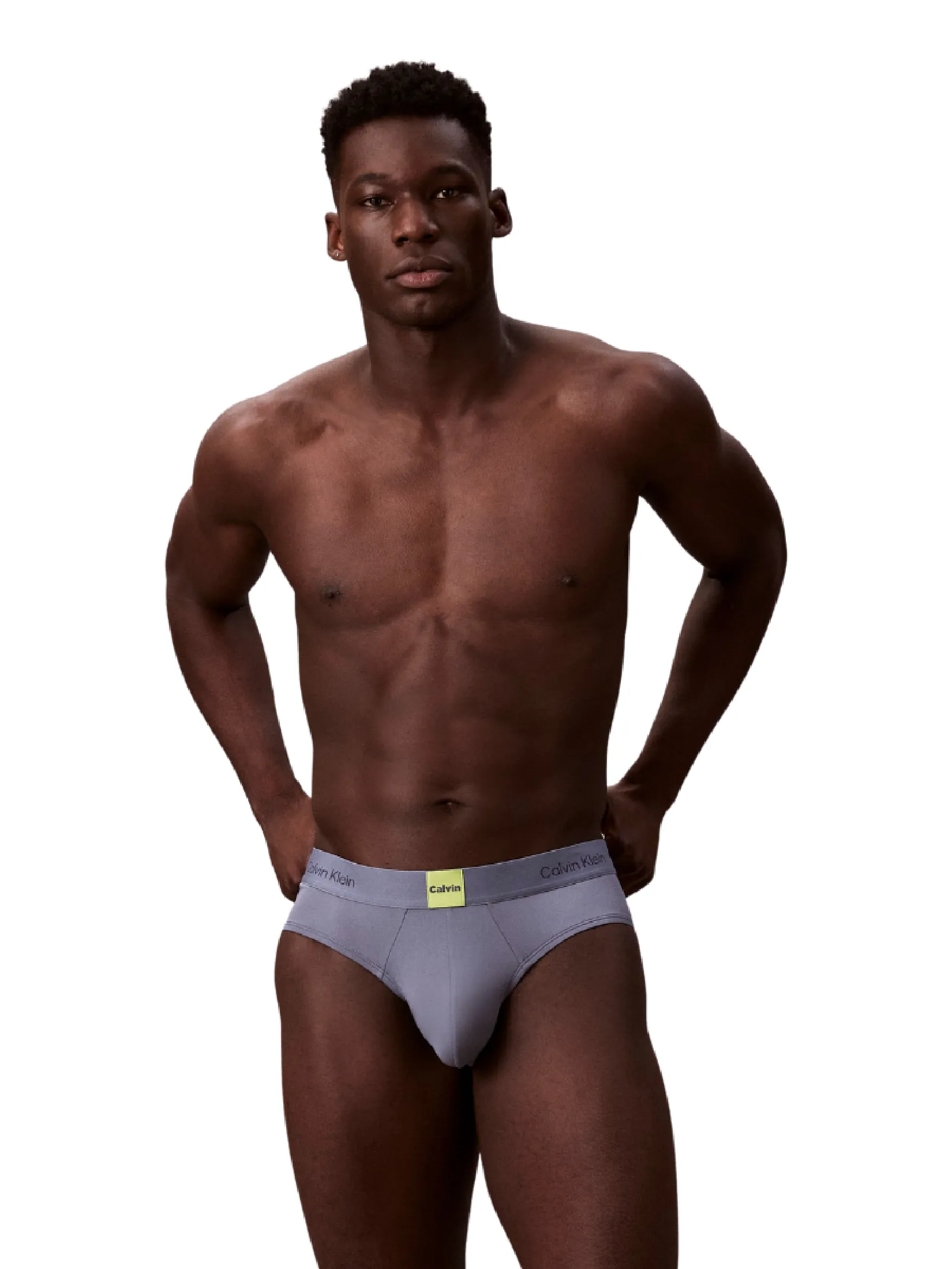 CALVIN KLEIN Men s Icon Logo Graphic Hip Brief Grey