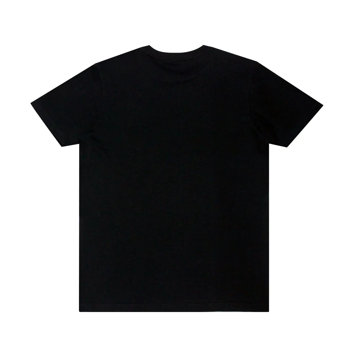 DUCATI Black T-shirt for men DCT52 052