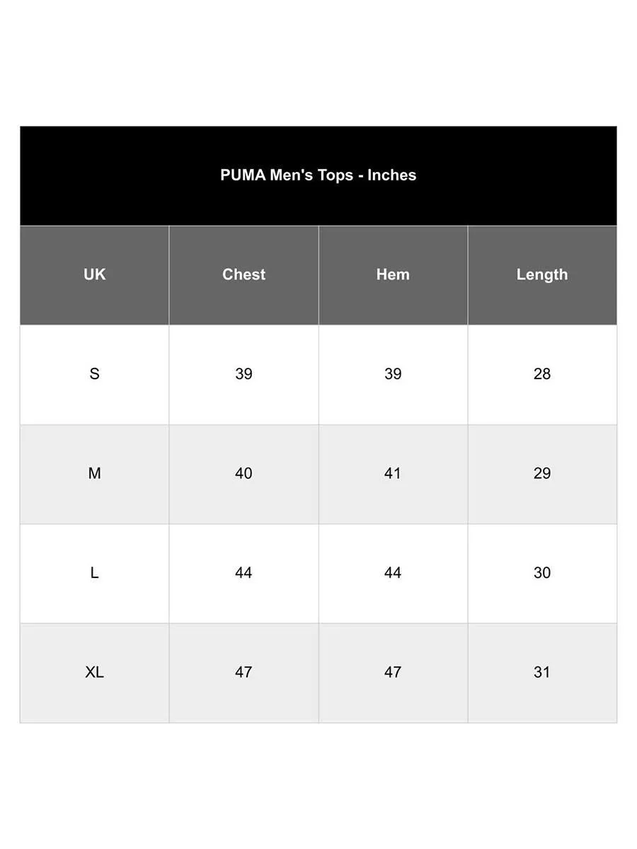 PUMA House of Graphics Men T-Shirt Blue - PU097AP042EOTH