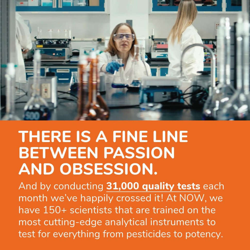 NOW Foods, глутатион, 250 мг, 60 вегетарианских капсул