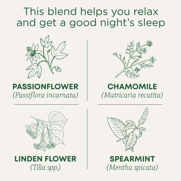 Traditional Medicinals, Nighty Night, органический, фирменный чай с пассифлорой, без кофеина, 16 чайных пакетиков, 24 г (0,85 унции)