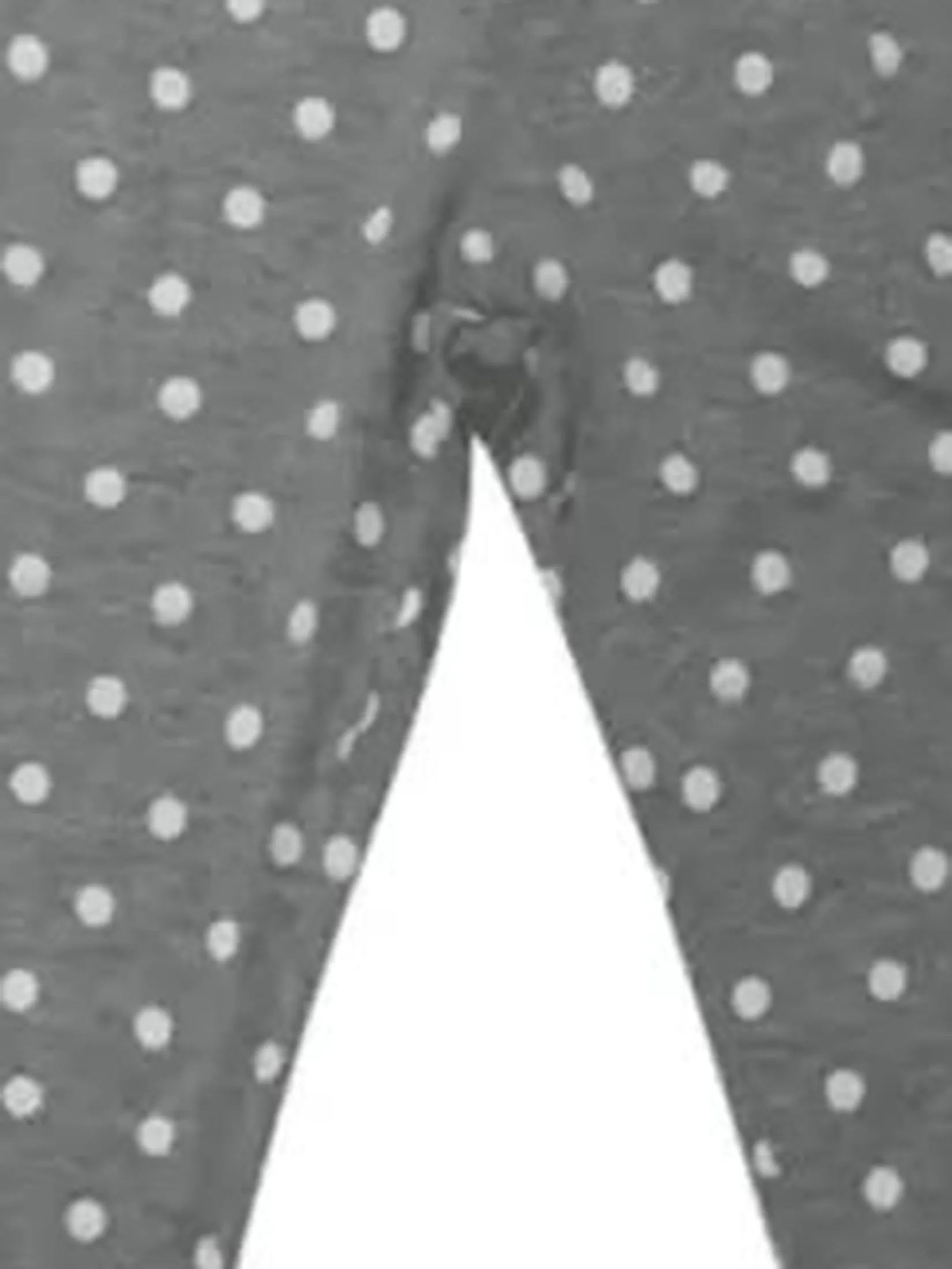 BAA BAA SHEEPZ Women Pants Polka Dot Print Grey