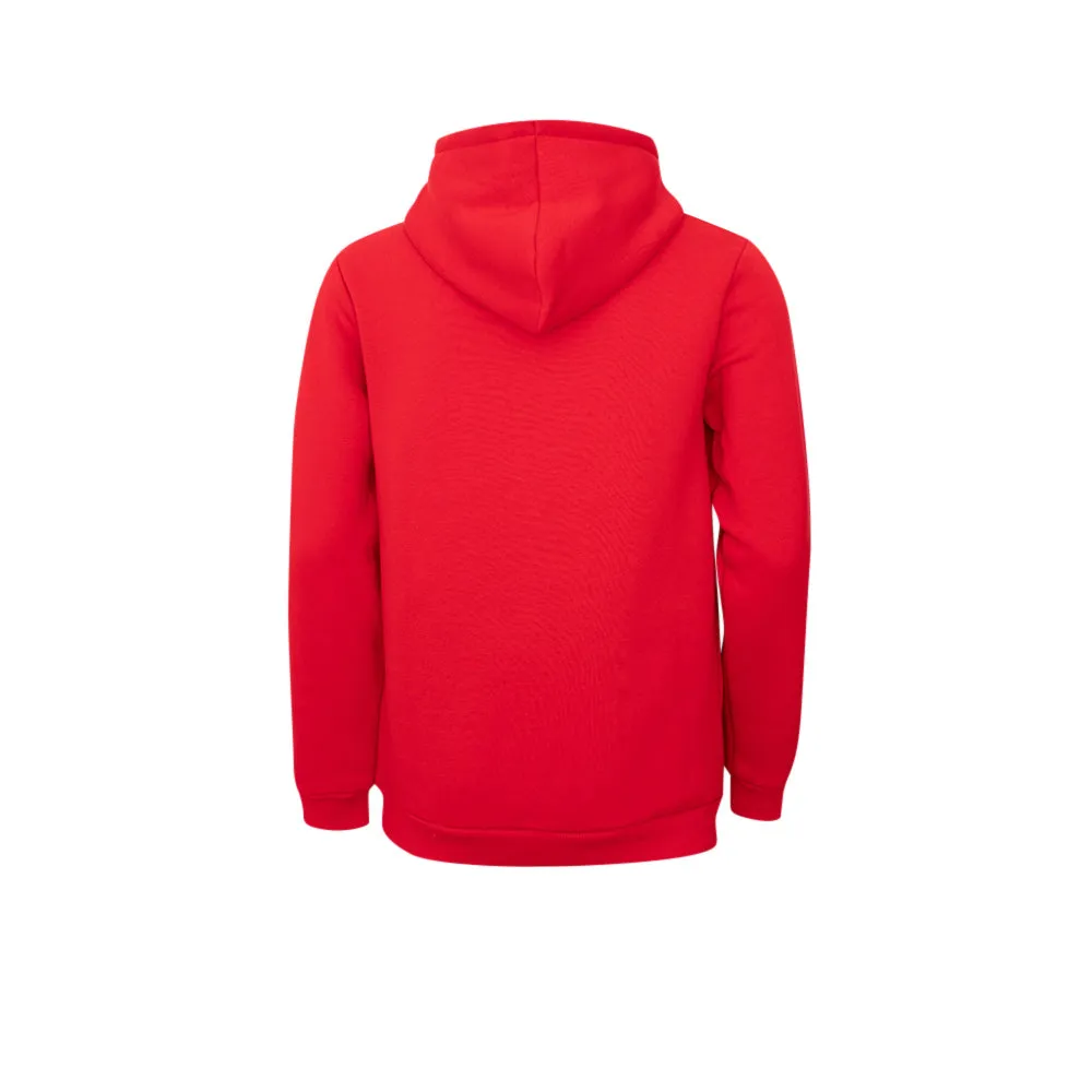 LIVERPOOL FOOTBALL CLUB EPL Champions 2024/25 Men Hoodie Red - LF068AP658ENTH