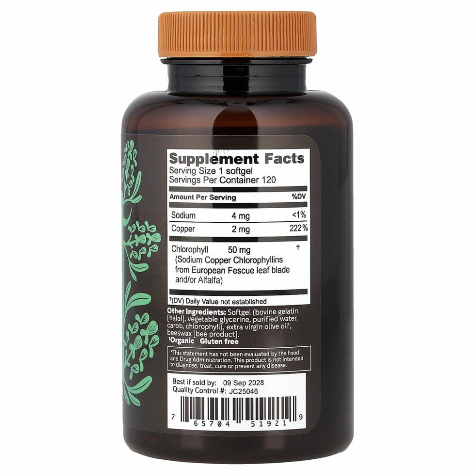 Herbs Etc., ChlorOxygen, концентрат хлорофилла, 120 мягких таблеток быстрого действия