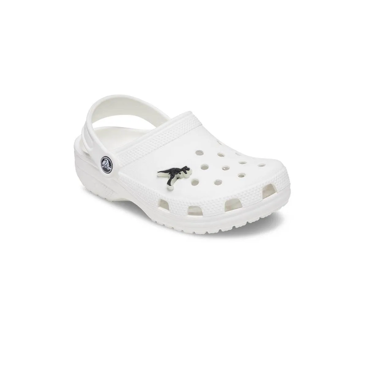 CROCS Jibbitz Shoes Charm Glow In The Dark Dino Multi Color - CR024AC764DMTH