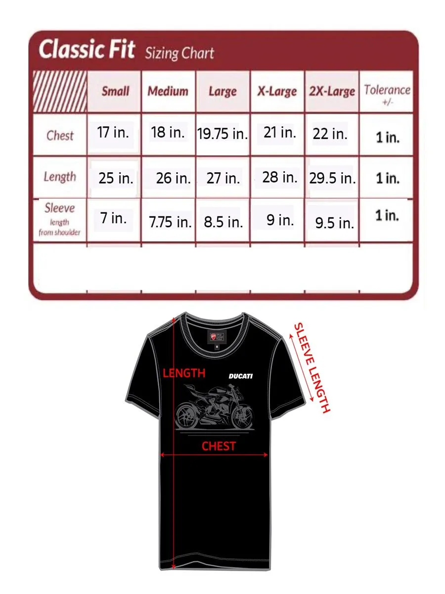 DUCATI Gray t-shirt for men DCT52 050