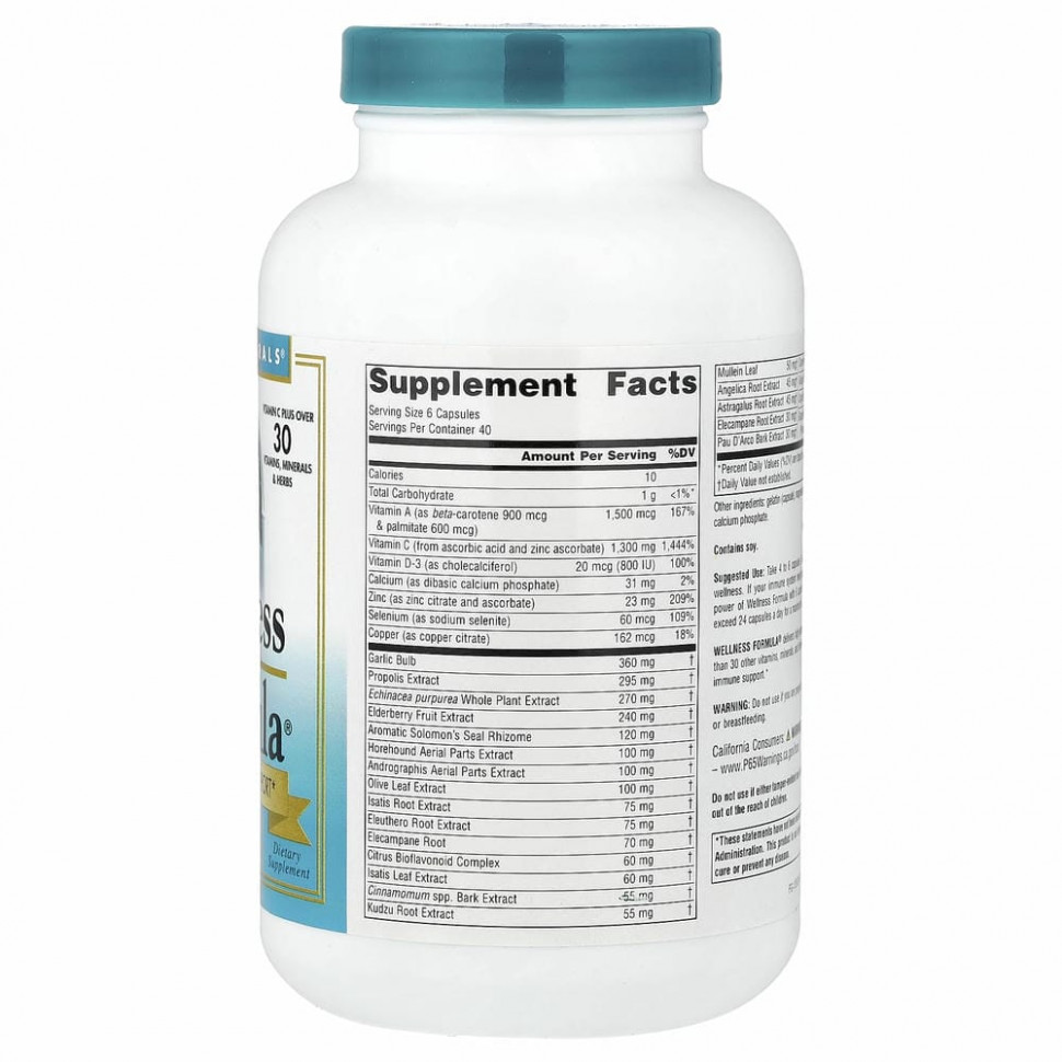 Source Naturals, Wellness Formula, ежедневная иммунная поддержка, 240 капсул