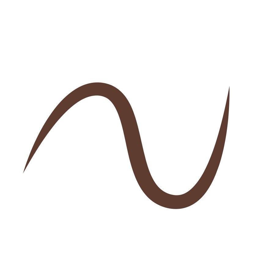 Ustar Zignature Maxx Cover Eyebrow 0.36g. Natural Brown