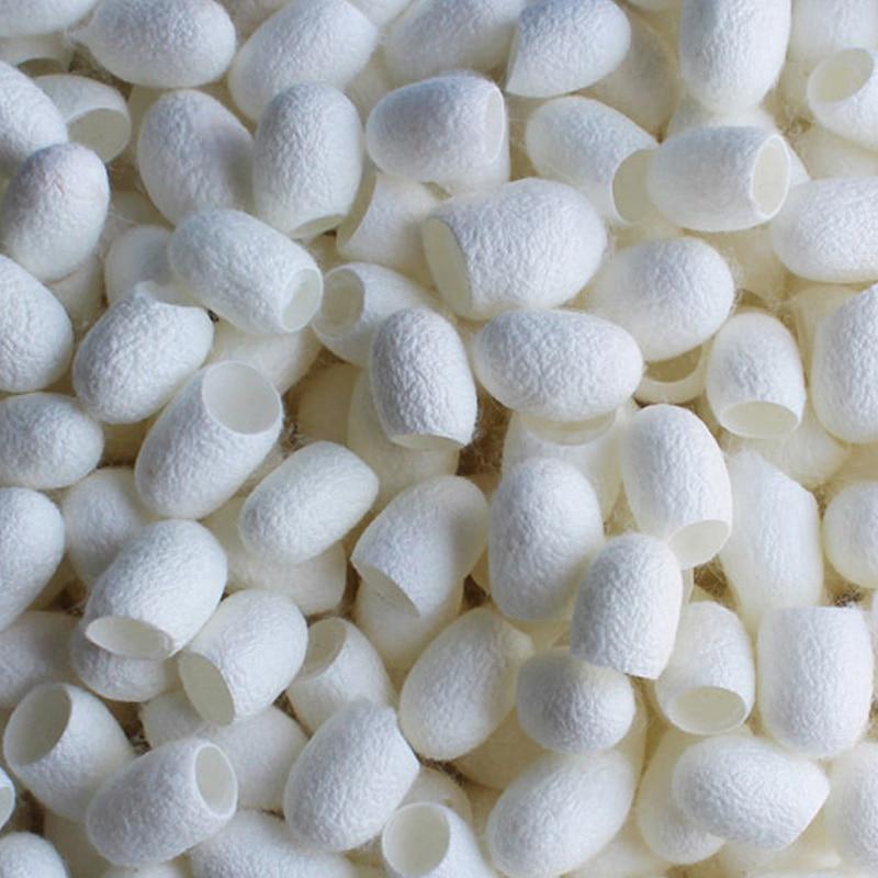 Белые крупные шелковые коконы 50 или 100 шт