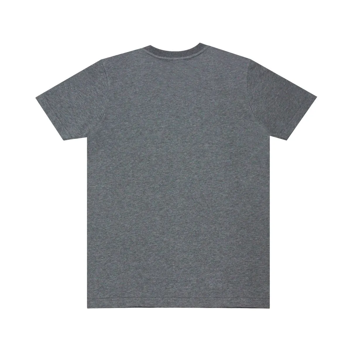 DUCATI Gray T-shirt for men DCT52 054