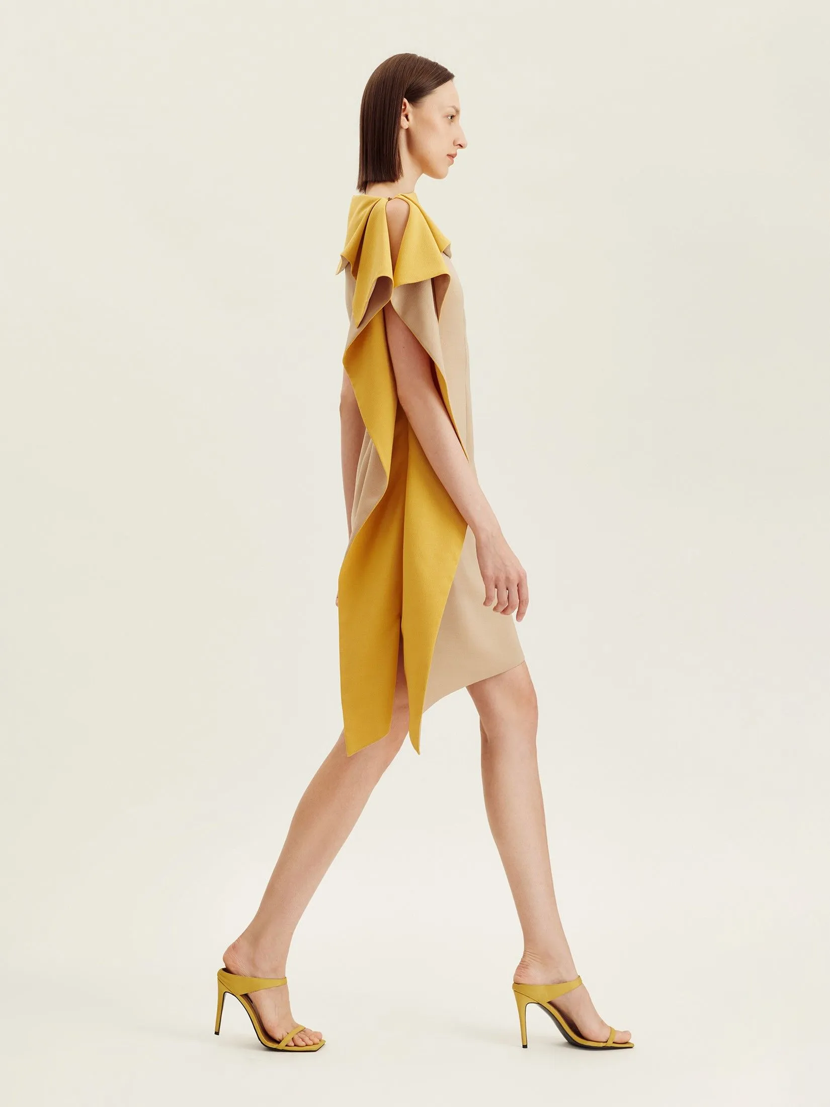 ASAVA ( AW24 ) Isha Asymmetric Women Dress Beige