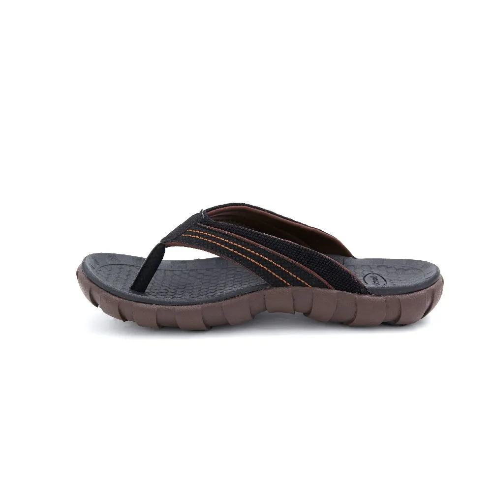 SCHOLL Bondi Brown