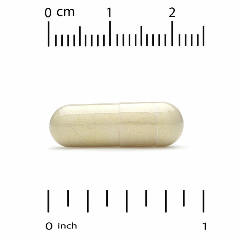 California Gold Nutrition, Новозеландские зеленогубые мидии с имбирем, формула для здоровья суставов, 500 мг, 240 растительных капсул