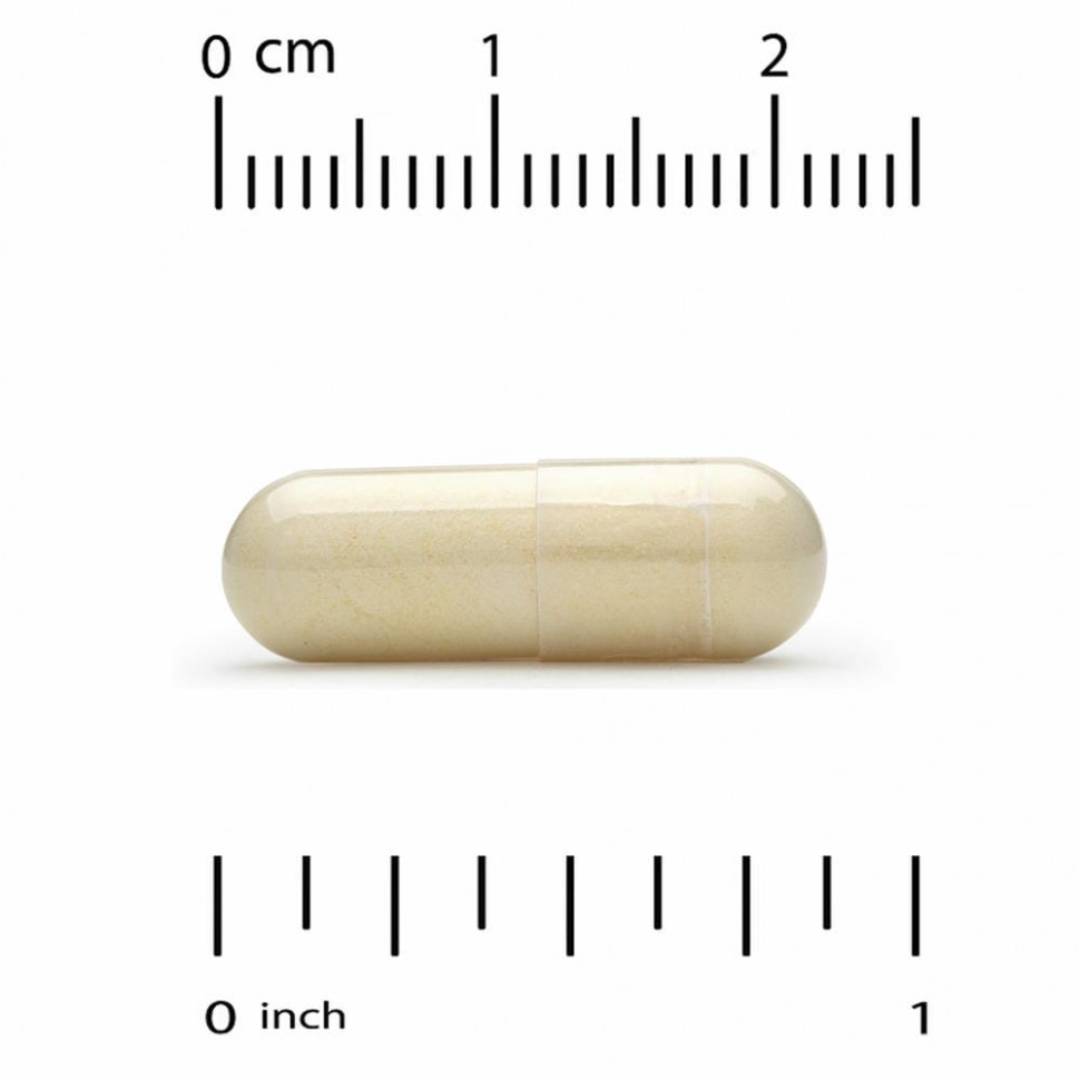 California Gold Nutrition, Oligopin, экстракт коры французской приморской сосны, 100 мг, 60 растительных капсул