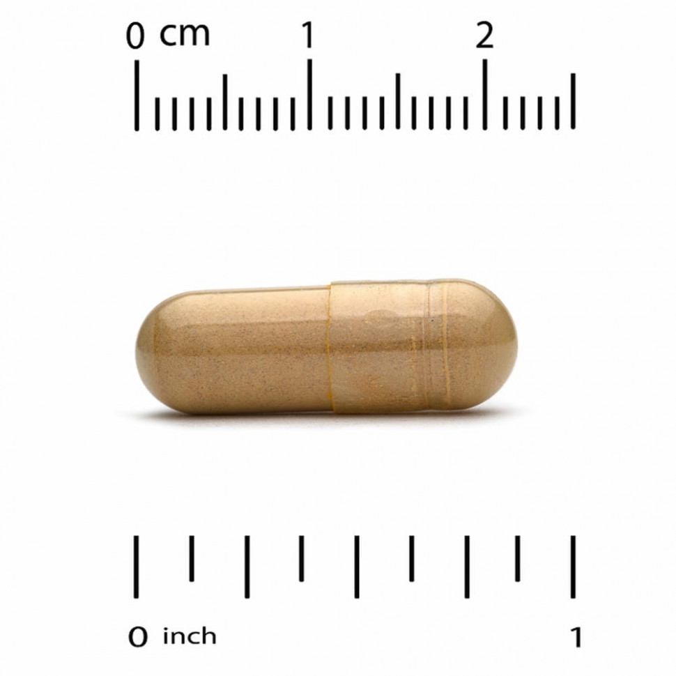 California Gold Nutrition, ежовик гребенчатый, 90 растительных капсул