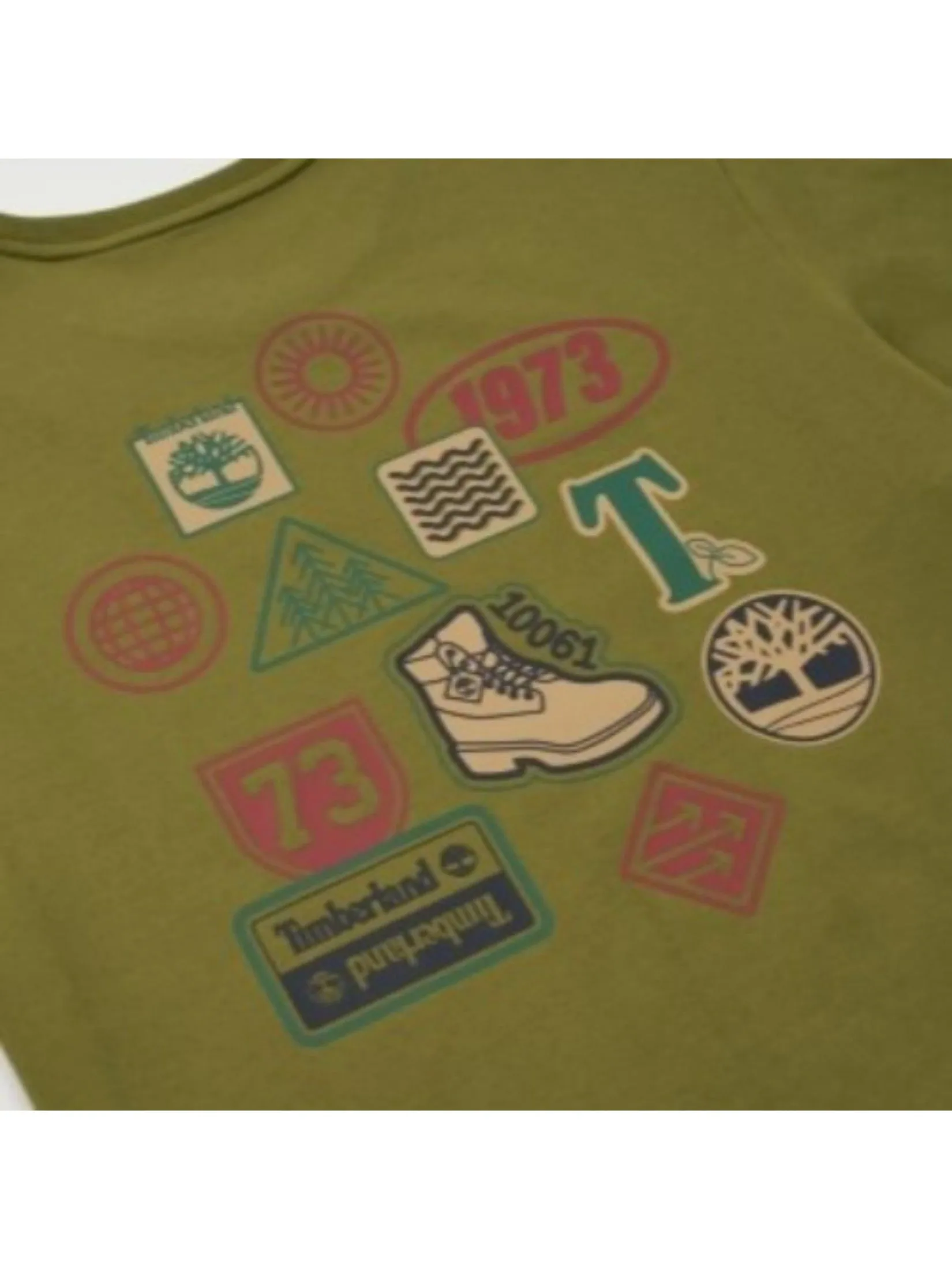 TIMBERLAND Men's Back Graphic Short Sleeve T-Shirt Green
