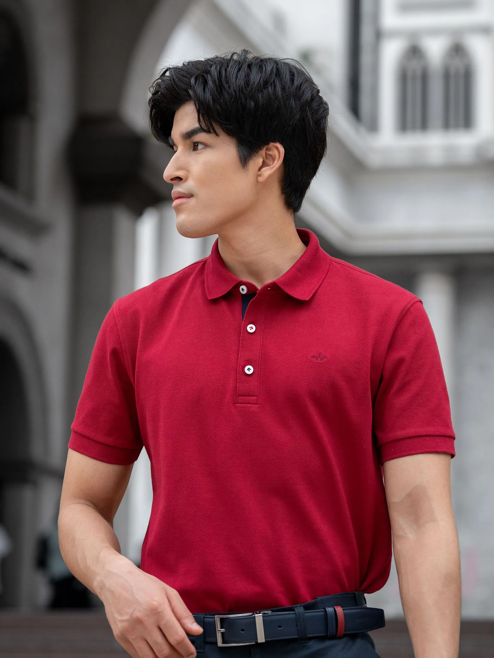ARROW Polo shirt Smart style MPCM872-MR red