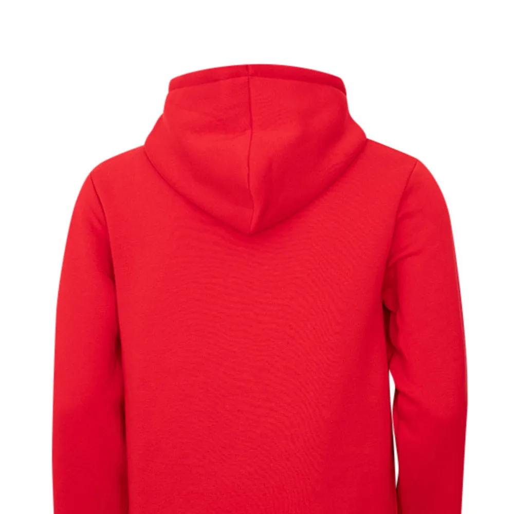LIVERPOOL FOOTBALL CLUB EPL Champions 2024/25 Men Hoodie Red - LF068AP658ENTH