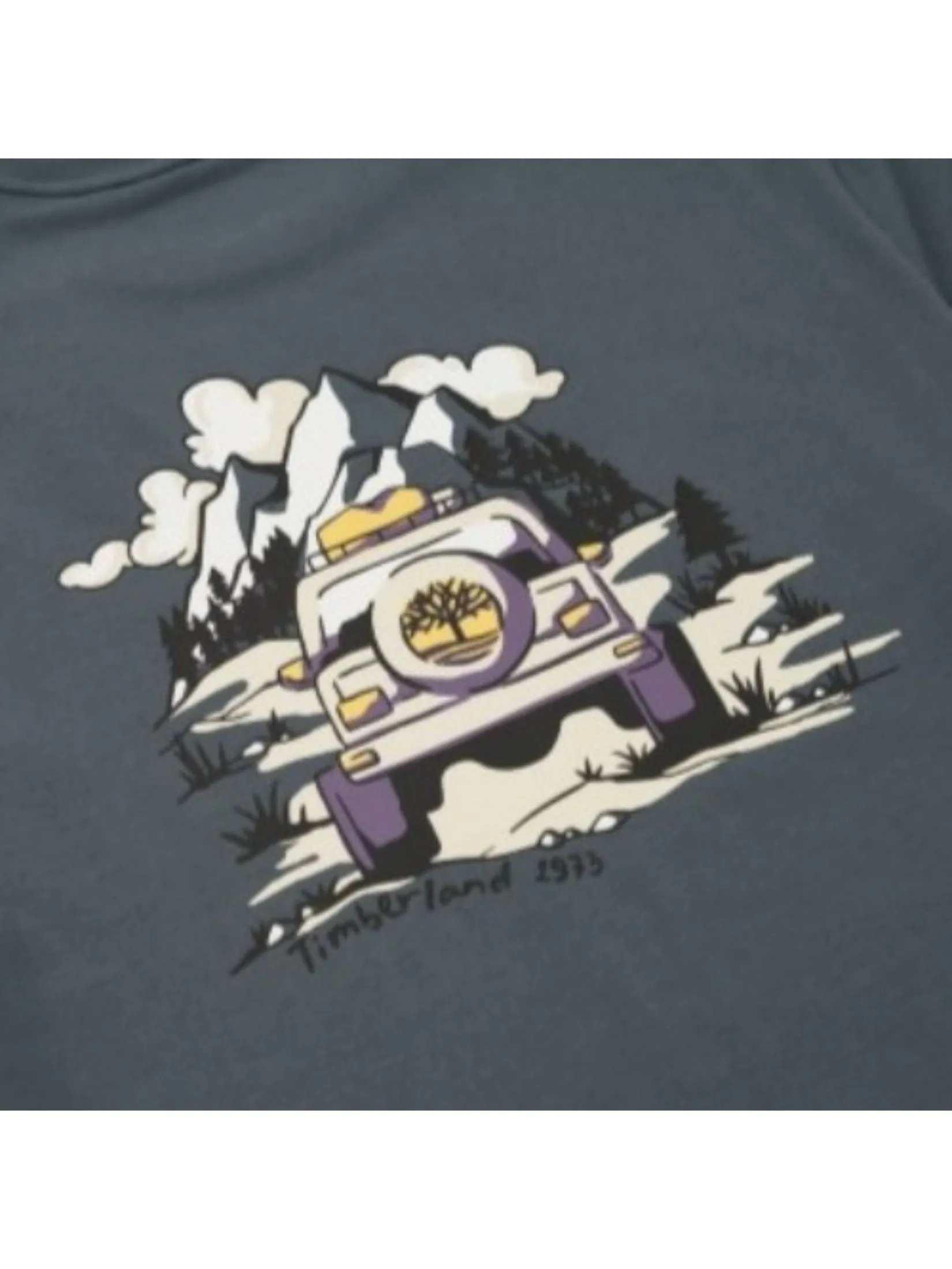 TIMBERLAND Men's Back Graphic Short Sleeve T-Shirt Neutral Dark Grey