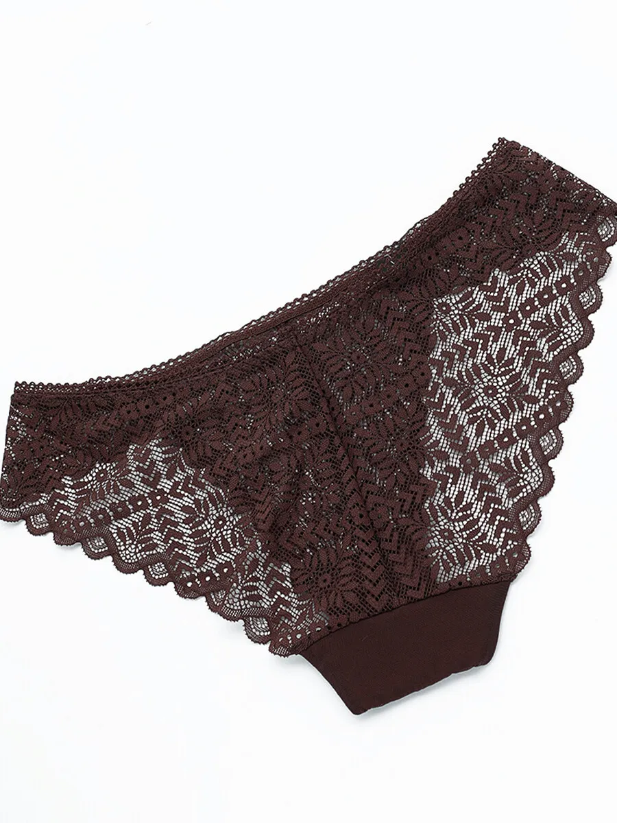 SABINA Mad Moiselle Basic Lace Winter 23 Bikini Panty - Deep Brown