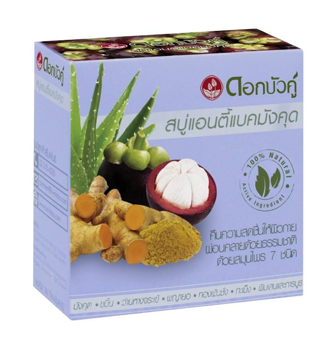 Заживляющее мыло с мангостином Twin Lotus 85 гр