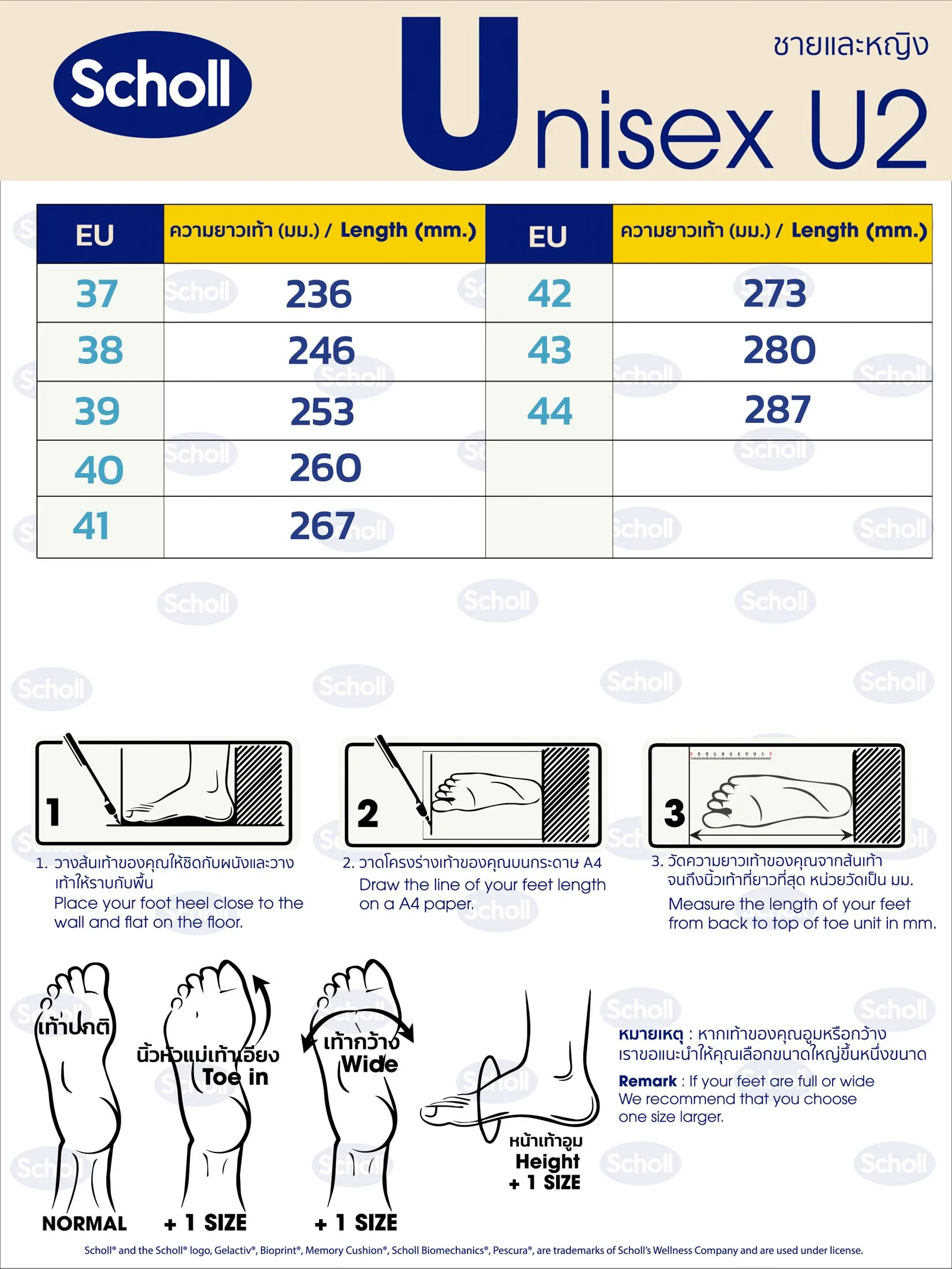 SCHOLL Explore Unisex's shoes olive