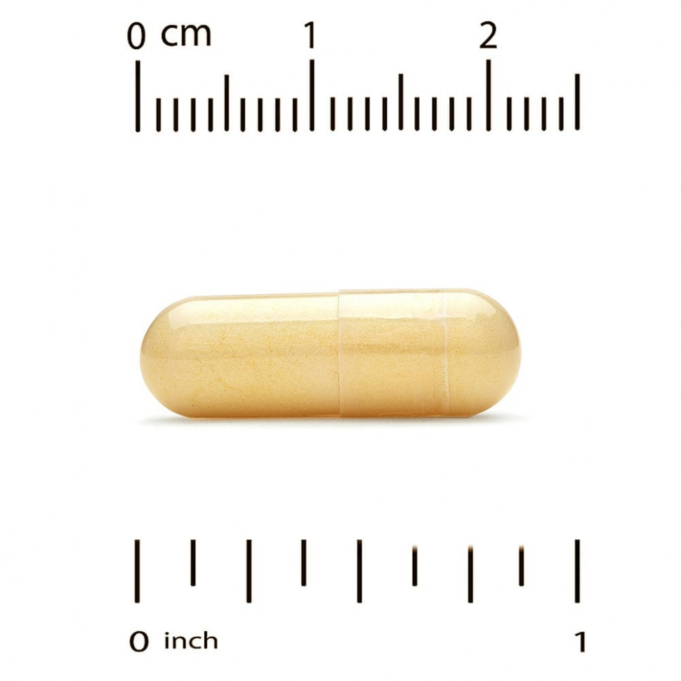 California Gold Nutrition, EuroHerbs, экстракт расторопши, европейское качество, 175 мг, 60 растительных капсул