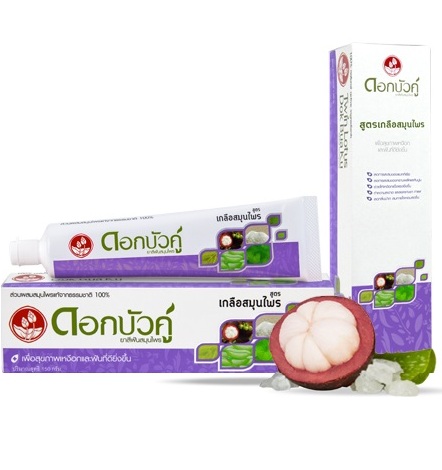 Зубная паста для чувствительных десен с комплексом из 10 трав и соли Twin Lotus 90 или 150 гр