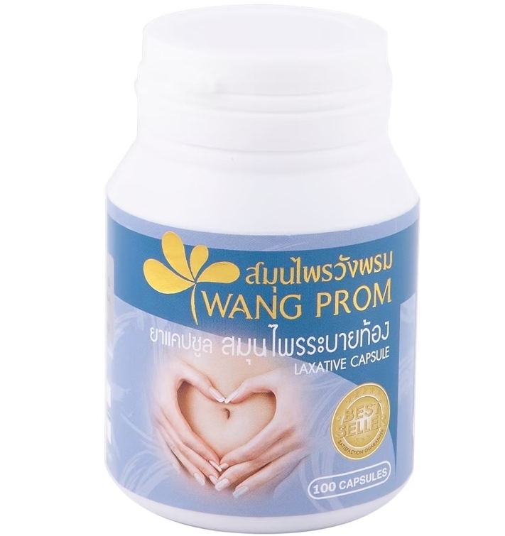 Детокс препарат для очищения кишечника и снижения веса Wangprom 100 шт