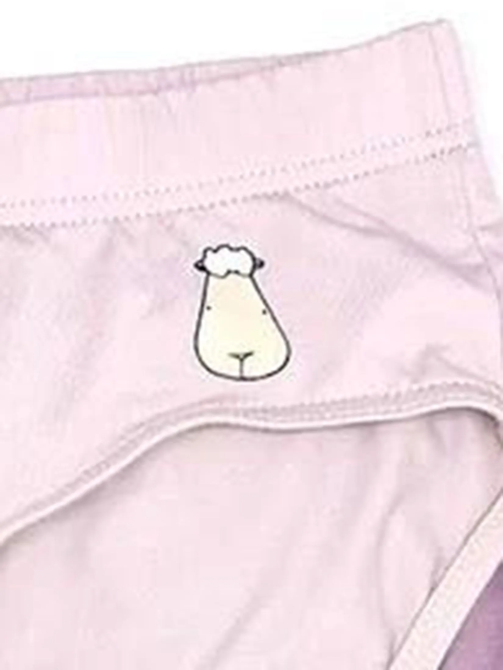 BAA BAA SHEEPZ Women Briefs Pack of 2 Multi-Color