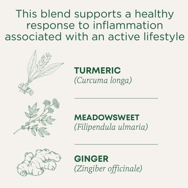 Traditional Medicinals, Органическая куркума с таволгой и имбирем, без кофеина, 16 чайных пакетиков в упаковке, 32 г (1,13 унции)
