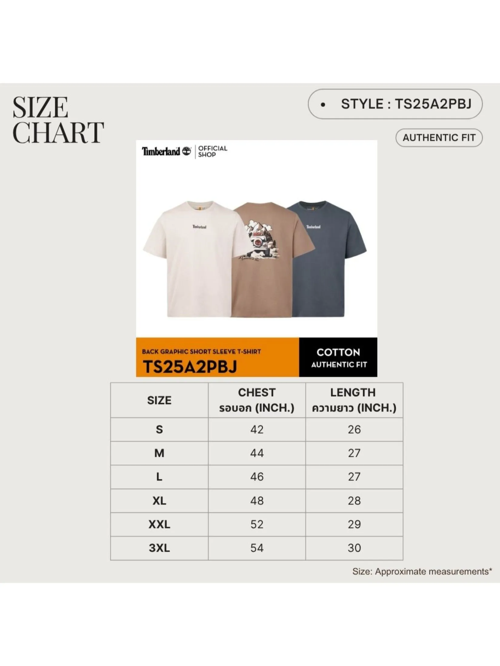 TIMBERLAND Men's Back Graphic Short Sleeve T-Shirt Neutral Dark Grey