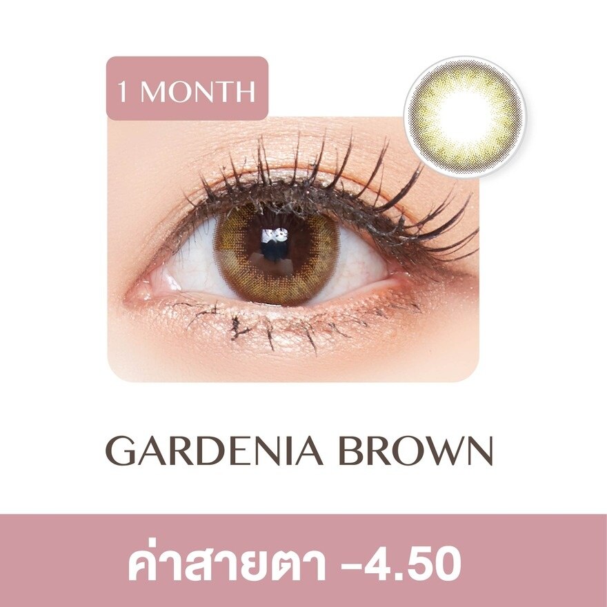 Pegavision Monthly Kaori Gardenia Brown -4.50 (2 pcs)