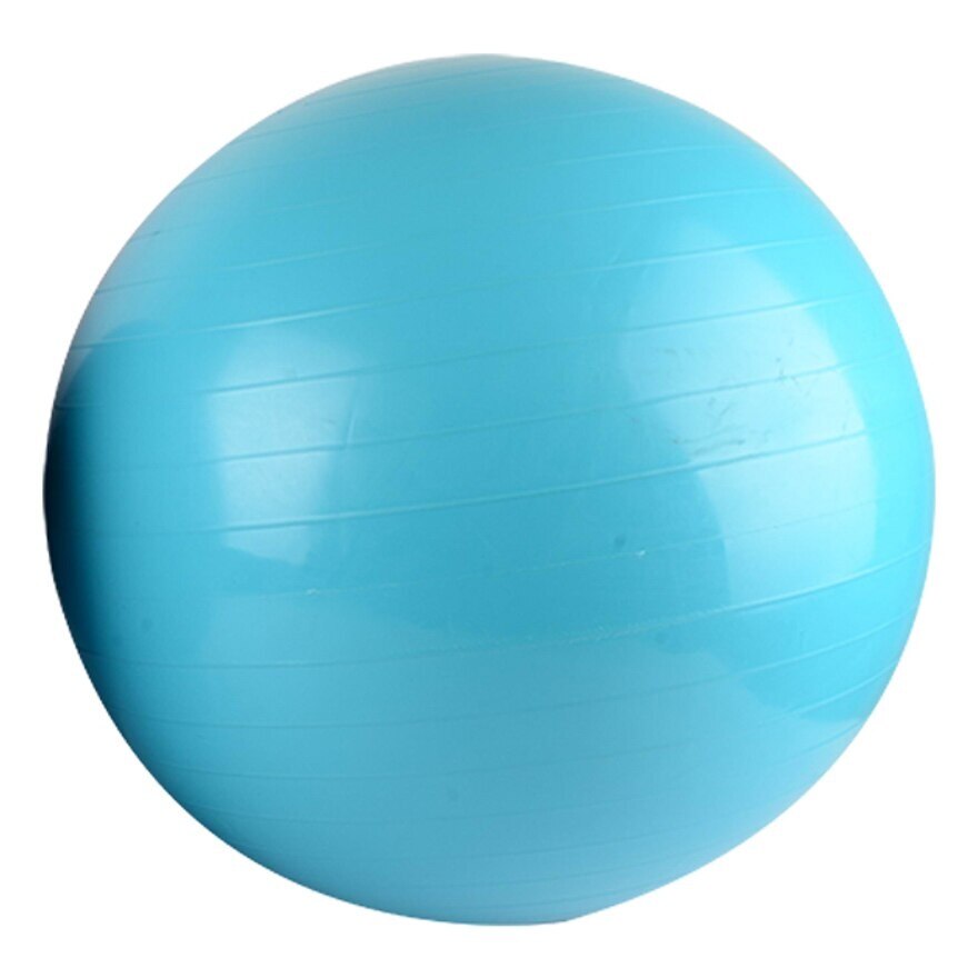 Watsons Anti-brust Gym ball 65cm. With Pump.