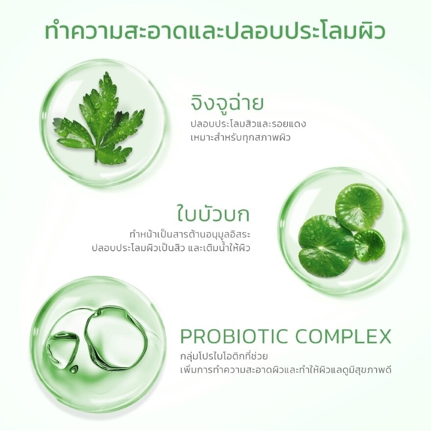 Skintific Mugwort Purifying Micellar Water 300 ml.