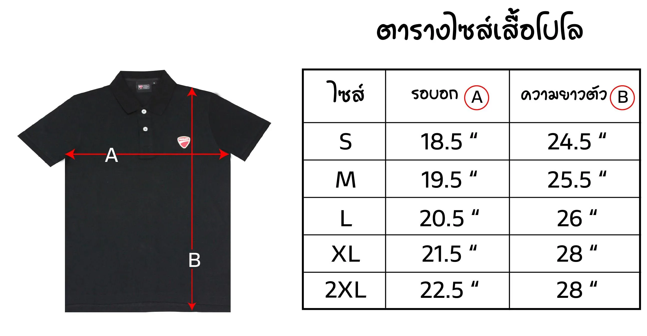 DUCATI Men Polo White